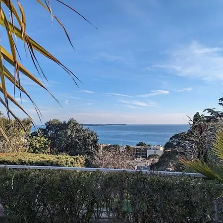 Superbe Appartement Cannes Avec Piscine 1 Chambre Exterior foto